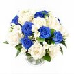 This image shows a serene blue and white sympathy arrangement, styled in a way that would feel at home in a calm New Barnet living room after a service. The flowers rise in a rounded, domed form from a clear glass vase, their shape full yet restful. Scattered evenly throughout are royal blue roses, their rich, velvety petals forming deep, layered cups of colour that draw the eye, like glimpses of clear sky beyond the trees of nearby Victoria Park. Surrounding and softening these bold blooms are generous ivory and creamy white roses, each one open and inviting, with smooth petals that appear almost satin to the touch. Threaded gently between the roses are sprays of white freesia, their slender stems holding clusters of small, bell-like flowers and closed buds, suggesting a light, comforting fragrance that might drift softly through a quiet room. Fine sprigs of white gypsophila add a misty, cloud-like texture, filling spaces with tiny blossoms and enhancing the bouquet's lush, cushiony look. At the base and subtly within the arrangement, glossy dark green leaves provide contrast, depth, and a natural frame that grounds the cool colour palette. The clear cylindrical vase, half-filled with water, reveals neatly aligned stems, and a subtly ribbed base that catches and reflects the light in delicate patterns on the surrounding surface. The overall mood is one of tranquility, dignity, and thoughtful care-a fitting floral tribute for sending condolences, marking a memorial, or offering gentle support to families in New Barnet and the nearby residential lanes off Wood Street.