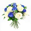 A hand-tied bouquet of roses rests against a seamless white background, its colours and textures standing out with quiet clarity, as if freshly crafted by a local New Barnet florist for a thoughtful condolence gesture. The arrangement is round and full, composed of roughly equal numbers of deep sapphire-blue roses and soft, creamy roses. The blue roses have a rich, velvety intensity, with petals that unfurl in layered spirals, the colour deepening towards the centre like the evening sky above New Barnet's tree-lined streets. The cream roses are gentle and luminous, some with a subtle buttery warmth, others almost snow-white, their many petals overlapping in soft waves that evoke calm and tenderness. Threaded throughout the bouquet are delicate sprigs of white baby's breath, their clusters of tiny blossoms giving the design a light, airy quality, like fine mist drifting between the roses. Dark green foliage, likely Ruscus, peeks out from beneath and between the blooms, its smooth, glossy leaves framing the flowers and adding a sense of natural balance and depth. Below the dome of petals, the green stems are neatly gathered and aligned, bound together in a compact bundle that suggests readiness for placement in a vase on a quiet sideboard or for same-day delivery to a grieving family near East Barnet village. The overall feeling is one of serene respect and gentle support, a bouquet that offers a peaceful, dignified way to express sympathy and remembrance across New Barnet and its neighbouring communities.