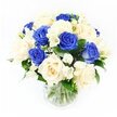 A tranquil sympathy bouquet stands in a plain, crystal-clear glass vase, its reflection softened by a pure white studio backdrop that keeps attention solely on the flowers. The arrangement is thoughtfully balanced, with roughly half of the blooms formed by intense royal blue roses, their petals rich and velvety, and the other half by tender ivory roses that open in creamy, layered whorls. The cool blue and warm cream tones play against each other, creating a quiet visual dialogue that feels both dignified and comforting. Weaving through the roses are graceful stems of white freesia, their small, trumpet-like blossoms and pointed buds offering hints of fragrance and a sense of gentle movement. Fine sprays of white gypsophila, or baby's breath, drift across the bouquet like tiny stars, giving the arrangement a soft, cloud-like halo. Dark green leaves gather at the base and peek between flowers, adding natural depth and stability to the rounded silhouette. Inside the simple vase, the stems are carefully trimmed and arranged, visible through the clear water as clean lines of green and pale brown. Soft, even lighting illuminates every petal and leaf, making the blues appear cool and reflective, the creams mellow and soothing. Created in the spirit of the quiet residential streets and leafy corners of New Barnet, this bouquet feels especially suited to offering condolences or sympathy, whether delivered to a family home near the station or to a peaceful gathering space where people come together to share memories and find solace.