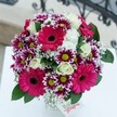 There's something irresistibly hopeful in this bouquet, crafted with care in the heart of New Barnet. At its centre, hot pink Gerberas bloom with exuberance, their soft, vibrant petals drawing every eye-while clusters of magenta and white chrysanthemums twinkle like springtime fireworks, each one beaming from a zesty green core. Cream-white roses spiral nearby, offering glimpses of creamy softness and understated luxury among the electric palette. Throughout, airy sprays of delicate baby's breath wander like lace, scattering light and lending the whole arrangement a feeling of weightlessness. Deep green foliage frames the scene, infusing the bouquet with garden freshness as it rests on a white tabletop that reflects the day's bright, natural light. In the softly blurred background, a suggestion of decorative ironwork nods to the local character of New Barnet, perhaps recalling mornings spent near Barnet High Street or afternoons in the quiet corners of Victoria Park. A glimpse of a handwritten tag in the corner speaks silently of good wishes-a birthday surprise, warm congratulations, or simple gratitude. Altogether, this finely balanced, joyous bouquet is a true celebration of New Barnet's community spirit, ready to bring instant cheer and a splash of colour to any room.