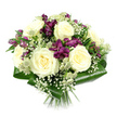 Set against a pristine white background, this sophisticated bouquet appears as if it has just been arranged on a workbench in a New Barnet florist's studio, every bloom placed with intention. At its center, a circle of creamy white roses dominates the design, with at least six to eight full-headed flowers in elegant spiral formation. Their petals are tightly layered, yet curl softly at the edges, creating a sumptuous, velvety texture that suggests both tenderness and classic refinement. Intertwined with the roses are bold splashes of deep purple and magenta alstroemeria, their trumpet-shaped, lightly speckled petals adding drama and contrast. The interplay between cream and purple feels both modern and timeless, ideal for marking special moments in homes around New Barnet, East Barnet, and the nearby avenues. Throughout the bouquet, fine strands of baby's breath (Gypsophila) drift like tiny clouds, softening the stronger colours and adding a sense of gentle lightness. Their minuscule white blossoms fill gaps without ever overwhelming, giving the bouquet an almost dreamy halo. Tucked among them are intricate green-white astrantia, easily recognised by their small pincushion heads encircled by papery bracts. These add subtle structure and an organic, meadow-like charm reminiscent of local green corners and gardens. The entire arrangement is encased in a collar of broad, glossy dark green leaves, likely Aspidistra, meticulously folded and wrapped to hold the form. Their sleek surfaces catch the light, providing a strong, architectural base and highlighting the professionalism of the hand-tied finish. The exposed stems at the bottom sit neatly together, reinforcing the crafted nature of the bouquet. Overall, the arrangement feels calm, gracious, and thoughtfully composed, perfect for sympathy tributes, anniversaries, or quiet celebrations shared in and around New Barnet.