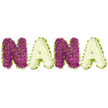 A warm, tactile tribute spells the name 'NANA' in oversized, handcrafted letters set against a pristine white background. Rather than fresh blooms, each letter is constructed from soft textile materials - think chunky knit, puffy felt applique and plush yarn - giving the composition a cozy, almost cuddle-able presence. The letters alternate in colour: the first 'N' is a sumptuous plum-purple or deep magenta with a slightly heathered texture, its rounded stitches catching soft studio light and suggesting a gentle depth; the following 'A' is a creamy ivory leaning toward a light daffodil yellow, its surface slightly brushed and matte so it reads as warm and inviting beside the richer tone. The second 'N' repeats the plum knit, mirroring the first in scale and stitch direction, while the final 'A' completes the sequence in the same pale cream-yellow. Each character rises from the white backdrop with soft, rounded edges and subtle shadowing that emphasize a three-dimensional, handcrafted quality - you can almost imagine the faint scent of wool and the quiet drag of thread as the maker finished each seam. This piece reads as a comforting, personal gift for a grandmother's nursery corner, a remembrance shelf, or a textile-art feature in a family home; it conveys familiarity, warmth and the tactile memory of being wrapped in a loved one's shawl. As a local florist and maker in New Barnet, I picture this displayed near a mantel or a child's room window, where morning light along Station Road would lend the knitted fibres a gentle, homey glow.