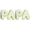 A tender, dignified memorial piece spelling out the name PAPA in large, uppercase letters, each letter lovingly formed from dense clusters of small, pristine white spray chrysanthemums. The flowers are packed tightly to create a soft, slightly domed texture across each character, their ruffled petals catching a cool, diffuse light and producing a hush of pale ivory highlights against the pure white background. Around the edges, a whisper of light green foliage and a pleated lime-green ribbon trace the contours of every letter, offering a fresh, natural frame that sharpens the silhouette without interrupting the arrangement's gentle stillness. From a florist's perspective the work shows careful handcraft: the blooms are set to read clearly across a horizontal line, the spacing measured so that each letter breathes yet reads as part of a single, heartfelt message.
There is an understated scent of chrysanthemums-soft, autumnal and comforting rather than overpowering-so the piece feels intimate as well as formal. This style is traditionally chosen for funeral services, wakes, or a graveside tribute, a simple and profound way to honour a father or grandfather. In New Barnet, where quiet streets and local parks like Hadley Green lend a reflective atmosphere, such a floral lettering reads as both a personal farewell and a community gesture of respect. The palette of white and green speaks of peace, purity and remembrance, offering comfort to mourners and a clear, visual declaration of love and loss for a cherished paternal figure.